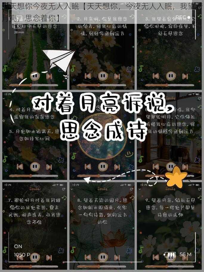 天天想你今夜无人入眠【天天想你，今夜无人入眠，我望着月亮，思念着你】