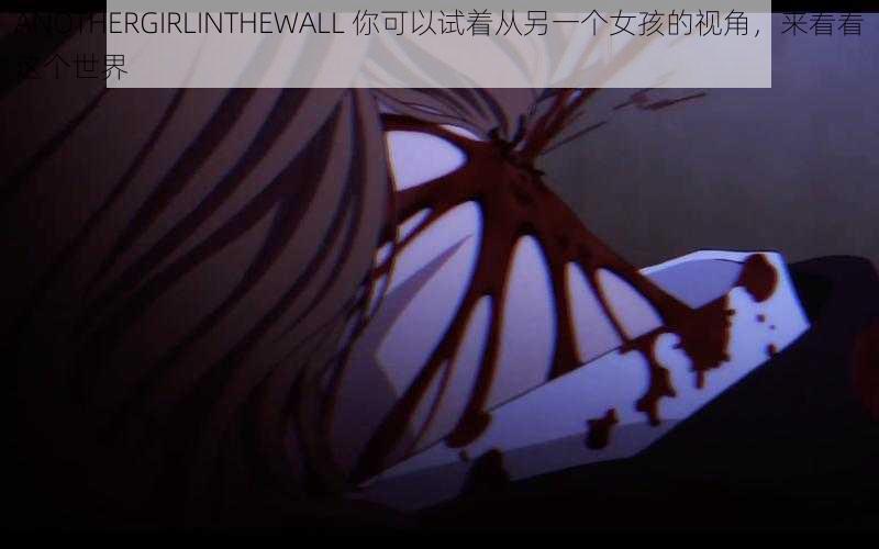 ANOTHERGIRLINTHEWALL 你可以试着从另一个女孩的视角，来看看这个世界