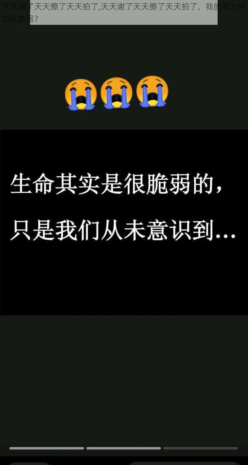 天天谢了天天擦了天天拍了,天天谢了天天擦了天天拍了，我的花为何如此脆弱？