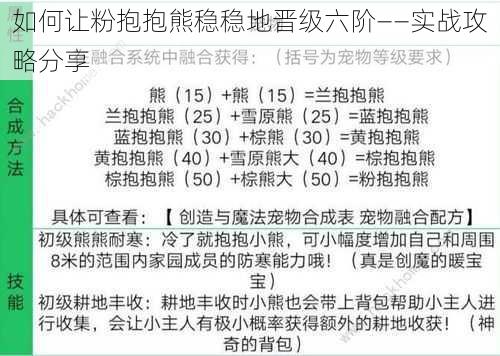 如何让粉抱抱熊稳稳地晋级六阶——实战攻略分享