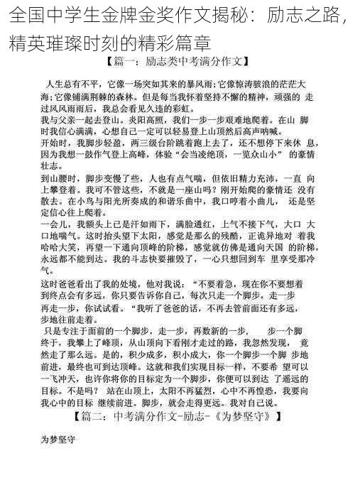 全国中学生金牌金奖作文揭秘：励志之路，精英璀璨时刻的精彩篇章