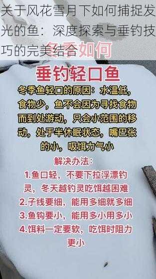 关于风花雪月下如何捕捉发光的鱼：深度探索与垂钓技巧的完美结合