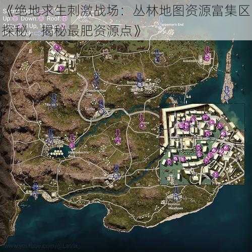 《绝地求生刺激战场：丛林地图资源富集区探秘，揭秘最肥资源点》