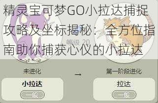 精灵宝可梦GO小拉达捕捉攻略及坐标揭秘：全方位指南助你捕获心仪的小拉达