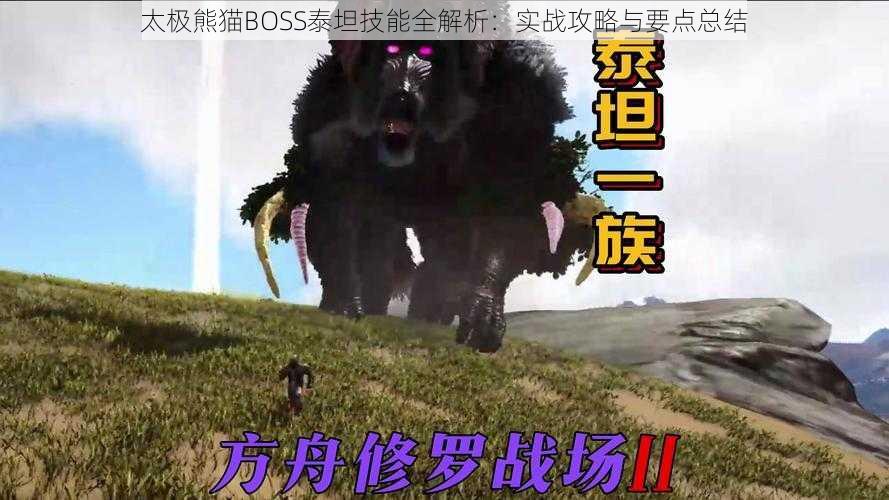 太极熊猫BOSS泰坦技能全解析：实战攻略与要点总结