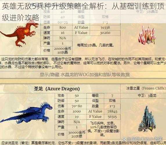 英雄无敌5兵种升级策略全解析：从基础训练到顶级进阶攻略