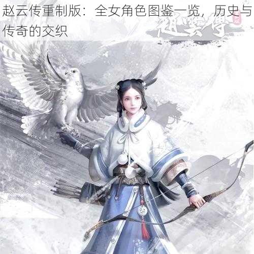 赵云传重制版：全女角色图鉴一览，历史与传奇的交织